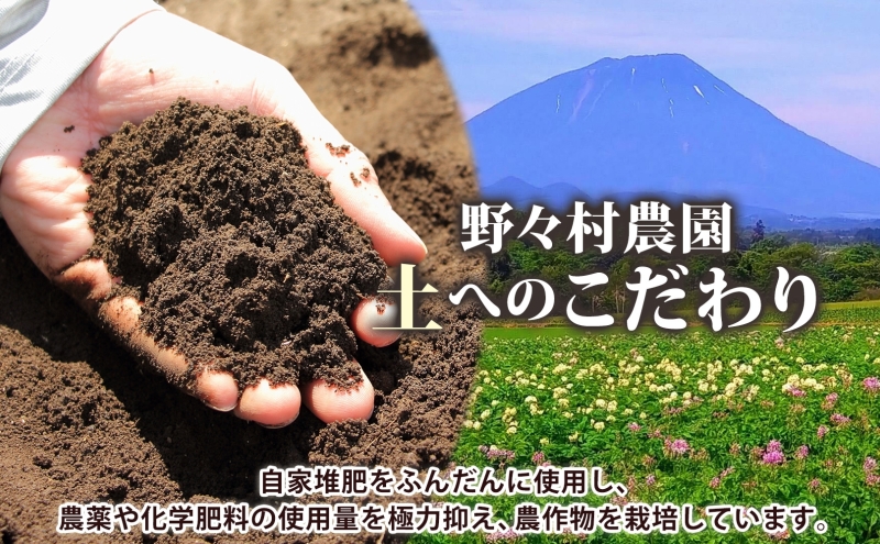 北海道 洞爺湖町産 新じゃがいも とうや 約20kg Mサイズ以上混載