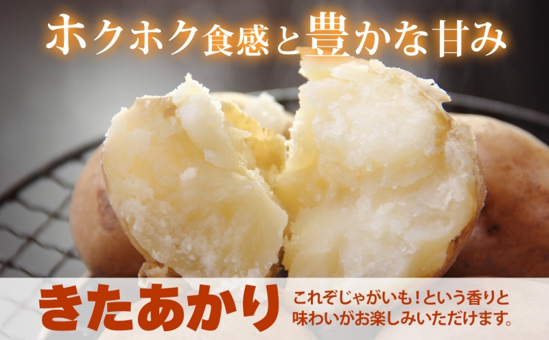 北海道 洞爺湖町産 新じゃがいも きたあかり 約10kg  Mサイズ以上混載 2026年10月初旬より順次出荷 北海道産 新じゃが じゃがいも ジャガイモ 馬鈴薯 旬 野菜 農作物 送料無料 産地直送 常温 洞爺湖町