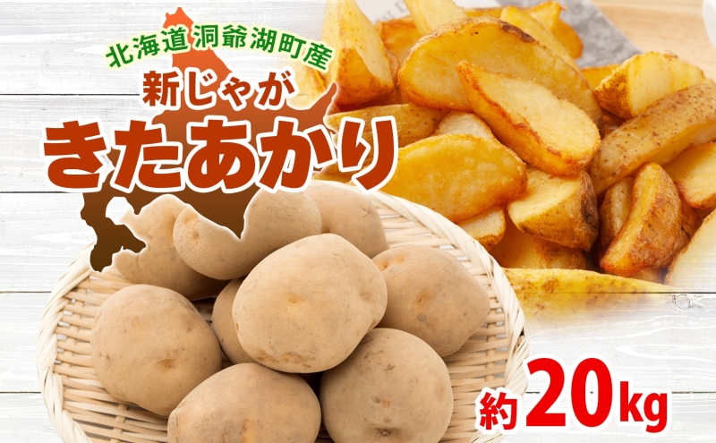 �y�k�C������Β��z�k�C�� ����Β��Y �V���Ⴊ���� ���������� ��20kg  M�T�C�Y�ȏ㍬�� 2026�N10�����{��菇���o�� �k�C���Y �V���Ⴊ ���Ⴊ���� ���� �W���K�C�� �n�鏒 ���� �� �{ ��� �_�앨 �Y�n���� �퉷 ����Β�