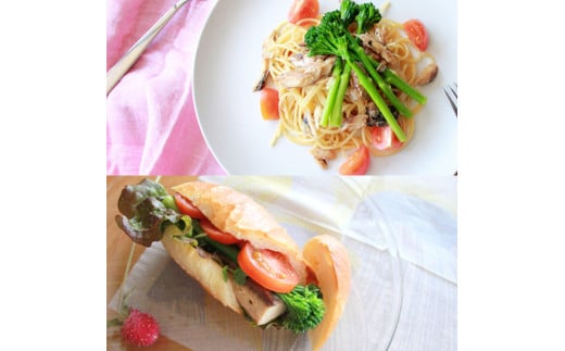 SABADAY 焼き鯖 10枚セット さば サバ スモーク 海鮮 魚 魚介類 おかず おやつ おつまみ サラダ パスタ やわらかい お取り寄せ セット 詰め合わせ 常温 配送