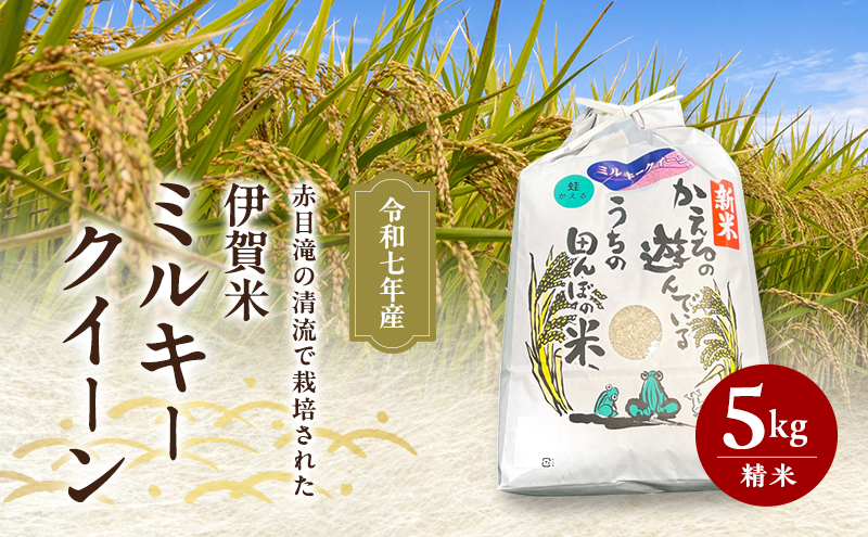【三重県名張市】赤目滝の清流で栽培された 令和7年産 伊賀米 ミルキークイーン 5kg 精米