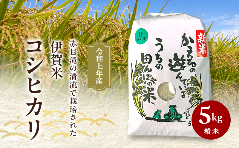 yOdsz8{oח\I Ԗڑ̐ō͔|ꂽ ߘa7NY ɉăRVqJ 5kg 3NA A  Ђ  ͂   Od s