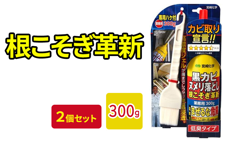 【京都府南丹市】根こそぎ革新×2個セット