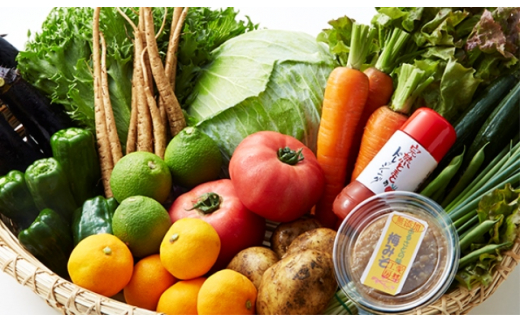 大分県国東市のふるさと納税 国東の旬野菜＆フルーツの詰合せ