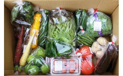 大分県国東市のふるさと納税 国東の旬野菜＆フルーツの詰合せ