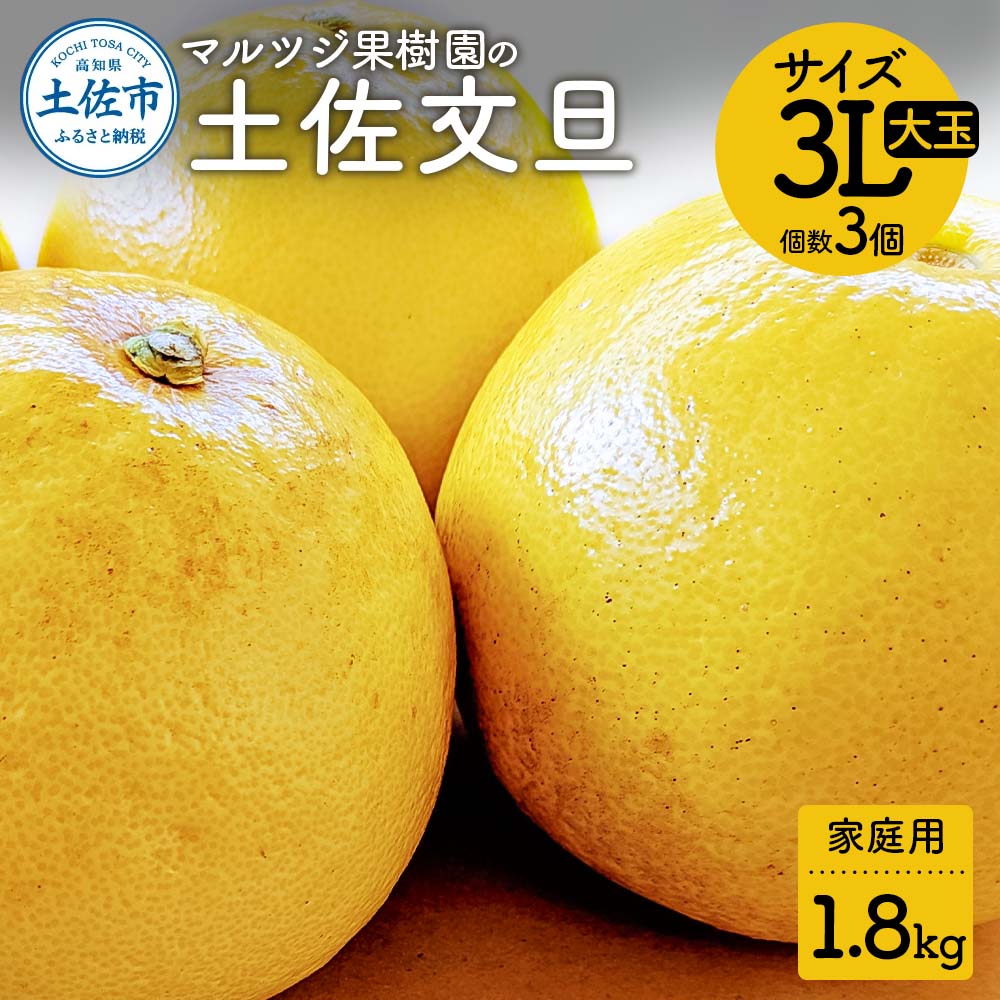 【先行予約】マルツジ果樹園の土佐文旦 家庭用(大玉) 約1.8kg 1.8キロ 3Lサイズ 3個入り ぶんたん ブンタン フルーツ 柑橘 みかん 果物 くだもの 柑橘類 デザート ご自宅用 ご家庭用 お取り寄せ 国産