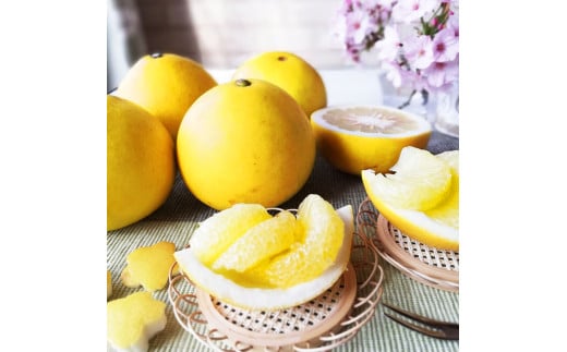 【先行予約】マルツジ果樹園の土佐文旦 家庭用(中玉) 約1.5kg 1.5キロ 2Lサイズ 3個入り ぶんたん ブンタン フルーツ 柑橘 みかん 果物 くだもの 柑橘類 デザート ご自宅用 ご家庭用 お取り寄せ 国産