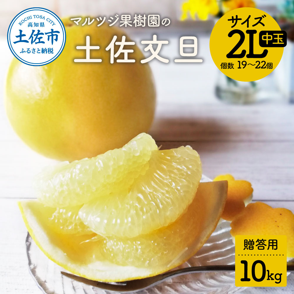 【先行予約】マルツジ果樹園の土佐文旦 贈答用(中玉) 約10kg 10キロ 2Lサイズ 19～22個入り ぶんたん ブンタン フルーツ 柑橘 みかん 果物 くだもの 柑橘類 デザート お取り寄せ 国産