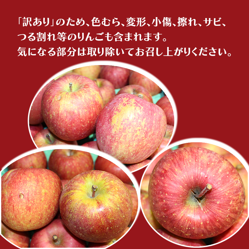 11月～12月発送 家庭用 訳あり サンふじ 約 5kg りんご リンゴ 林檎 果物 フルーツ わけあり 青森