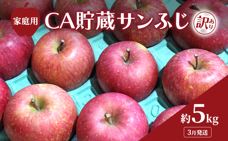 3月発送 家庭用 訳あり CA貯蔵 サンふじ 約 5kg りんご リンゴ 林檎 果物 フルーツ わけあり 青森