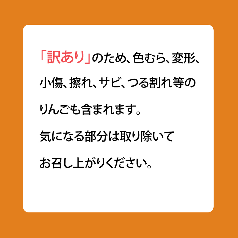 4月～5月 クール便発送 家庭用 訳あり CA貯蔵 シナノゴールド 約 5kg りんご リンゴ 林檎 果物 フルーツ わけあり 青森