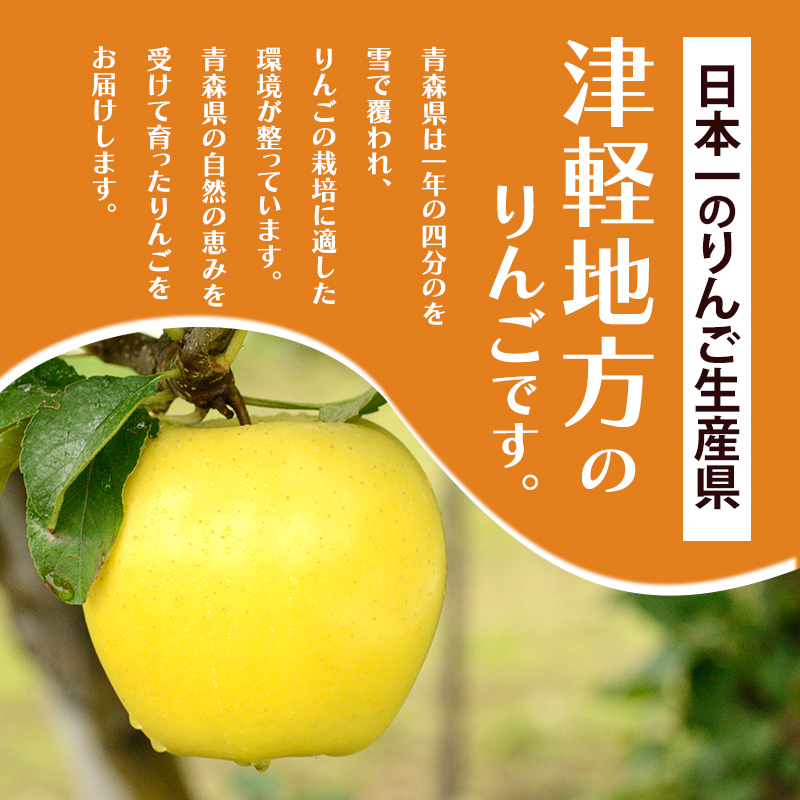 4月～5月 クール便発送 家庭用 訳あり CA貯蔵 シナノゴールド 約 5kg りんご リンゴ 林檎 果物 フルーツ わけあり 青森