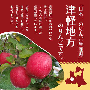 3月発送 家庭用 訳あり CA貯蔵 サンふじ 約 5kg りんご リンゴ 林檎 果物 フルーツ わけあり 青森