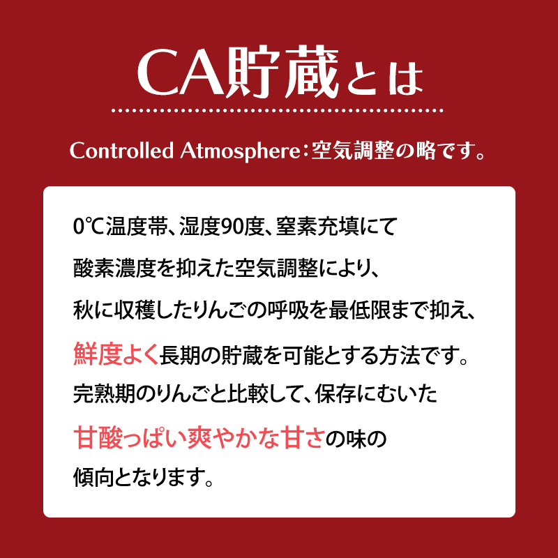 3月発送 家庭用 訳あり CA貯蔵 サンふじ 約 3kg りんご リンゴ 林檎 果物 フルーツ わけあり 青森