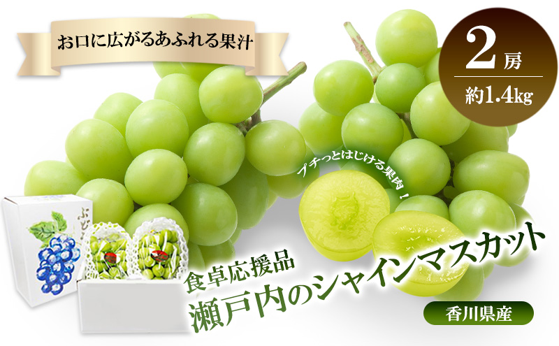 食卓応援品　瀬戸内のシャインマスカット　2房（約1.4kg）