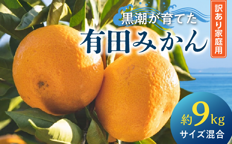 AE6111_黒潮が育てた有田みかん約9kg（サイズ混合）(訳あり　家庭用）