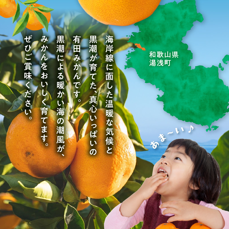 AE6111_黒潮が育てた有田みかん約9kg（サイズ混合）(訳あり　家庭用）