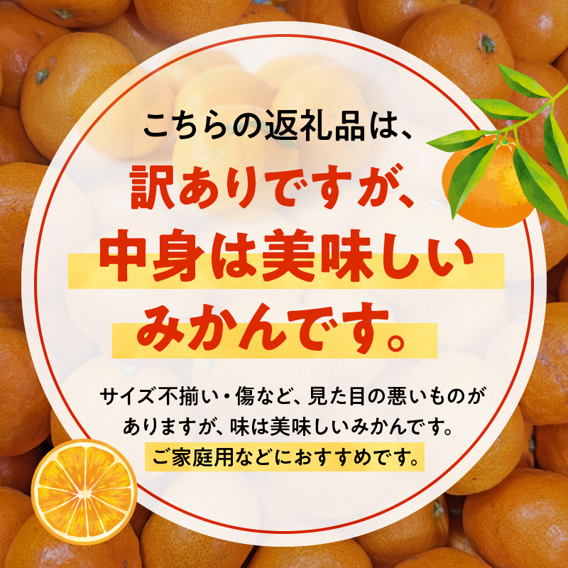 AE6111_黒潮が育てた有田みかん約9kg（サイズ混合）(訳あり　家庭用）