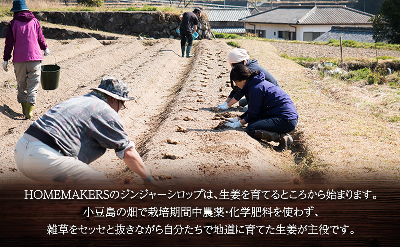 【 小豆島 】小豆島ジンジャーシロップ3本セット 果実飲料 ジュース 