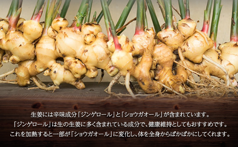 【 小豆島 】小豆島ジンジャーシロップ3本セット 果実飲料 ジュース 