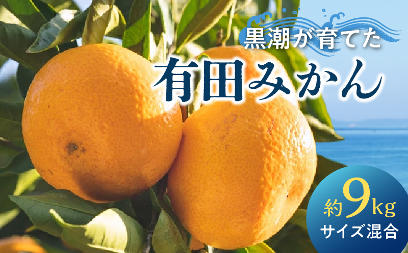 【和歌山県有田郡湯浅町】AE6110_黒潮が育てた 有田みかん 約9kg (サイズ混合)
