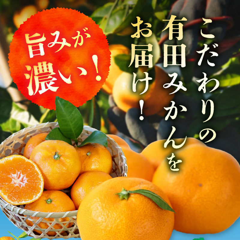 AE6110_黒潮が育てた 有田みかん 約9kg (サイズ混合)