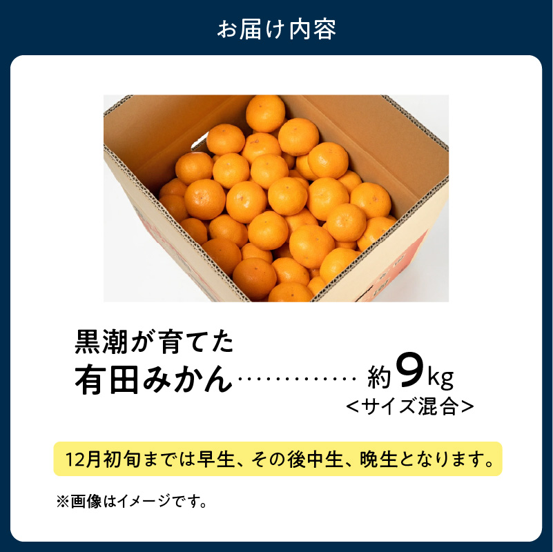 AE6110_黒潮が育てた 有田みかん 約9kg (サイズ混合)