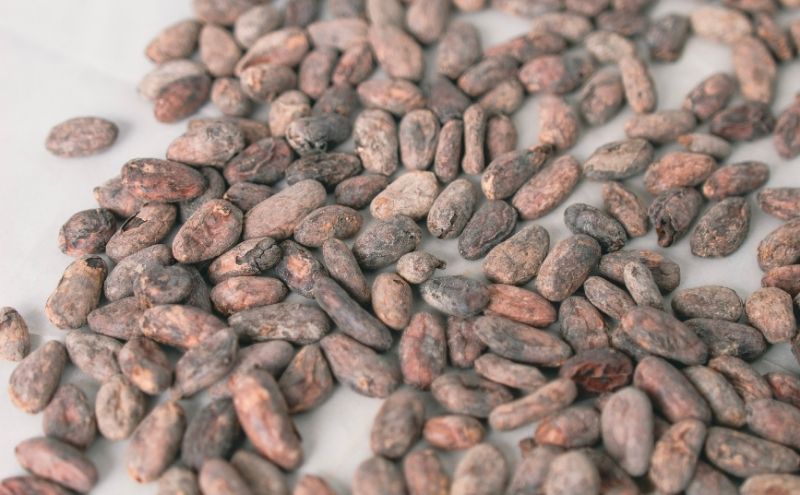 チョコレート SUNNY CHOCOLATE クラフトチョコレート【アソート缶 （3種 12枚入）+「花 -Hana- / エクアドル（ナポ）70%」＋「豆 -Mame- /ピーナッツチョコレート」】