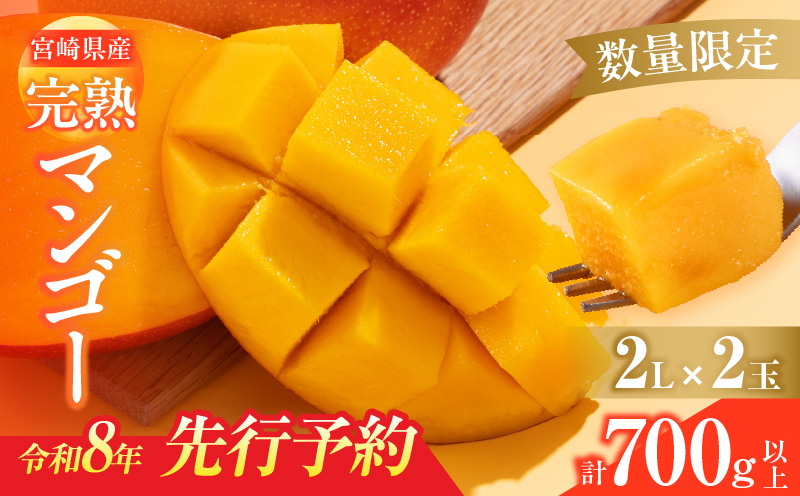 数量限定 宮崎県産 完熟マンゴー 2L×2