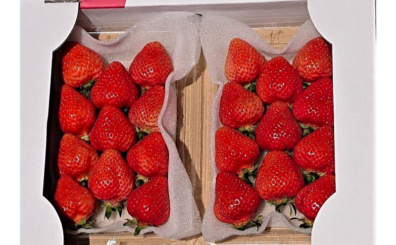 あまおう 【2026年2月上旬より順次発送】あまおうDX 約280g×4パック イチゴ 苺 いちご 果物 福岡県産 ※配送不可:離島