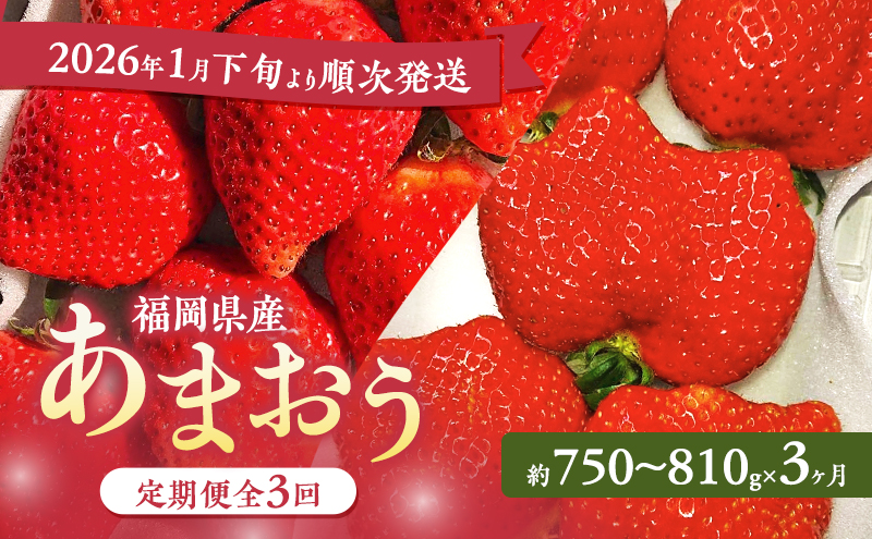 あまおう 定期便 3回 【2026年1月下旬より順次発送】【3ヶ月定期便】あまおう 3パック×3回 イチゴ 苺 いちご 果物 福岡県産 ※配送不可:離島