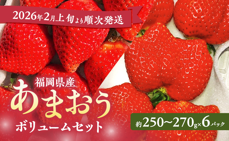【福岡県大刀洗町】あまおう 【2026年2月上旬より順次発送】 あまおうボリュームセット 6パック イチゴ 苺 いちご 果物 福岡県産 ※配送不可:離島