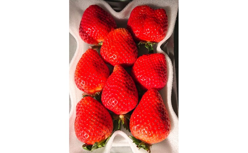 あまおう 【2026年2月上旬より順次発送】大粒あまおう 4パック イチゴ 苺 いちご 果物 福岡県産 ※配送不可:離島