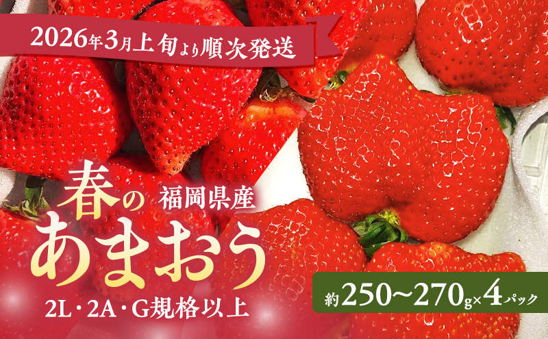 あまおう 【2026年3月上旬より順次発送】春のあまおう(2L・2A・G規格以上 4パック) イチゴ 苺 いちご 果物 福岡県産 ※配送不可:離島