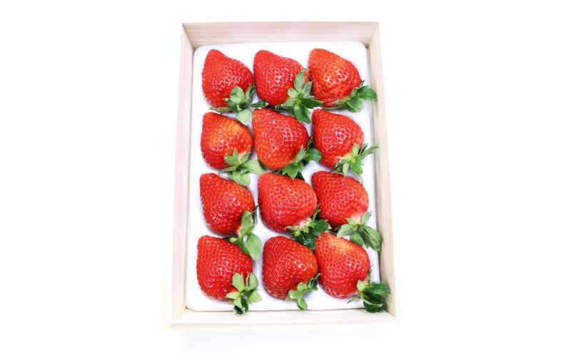 あまおう 【2026年2月上旬より順次発送】ティッシュボックス用 特別仕様の桐箱入り プレミアムあまおう 約400g×1パック 【ギフト・お祝い・贈答用】 イチゴ 苺 いちご 果物 福岡県産 ※配送不可:離島