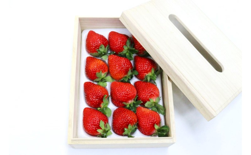 あまおう 【2026年2月上旬より順次発送】ティッシュボックス用 特別仕様の桐箱入り プレミアムあまおう 約400g×1パック 【ギフト・お祝い・贈答用】 イチゴ 苺 いちご 果物 福岡県産 ※配送不可:離島