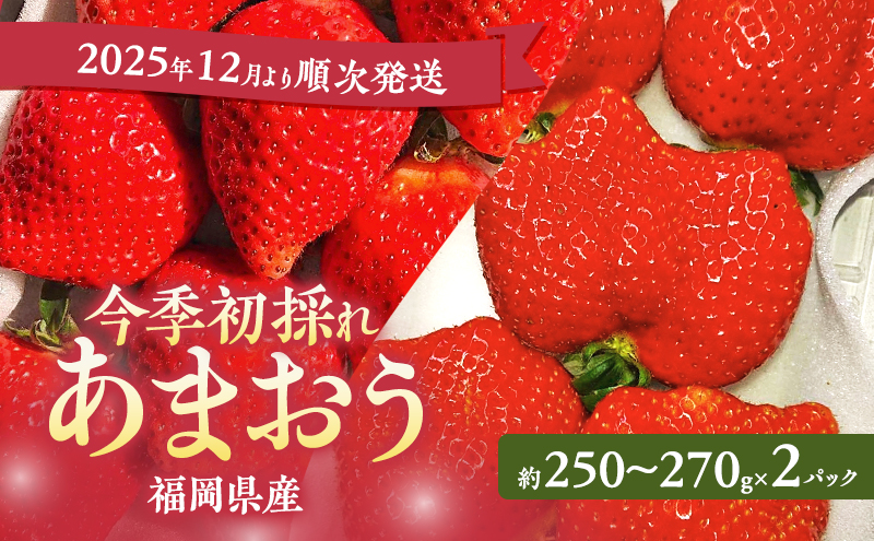 y品z܂ y2025N12菇z Ĝꂠ܂ 2pbNyʌzC`S   ʕ Y  zs: