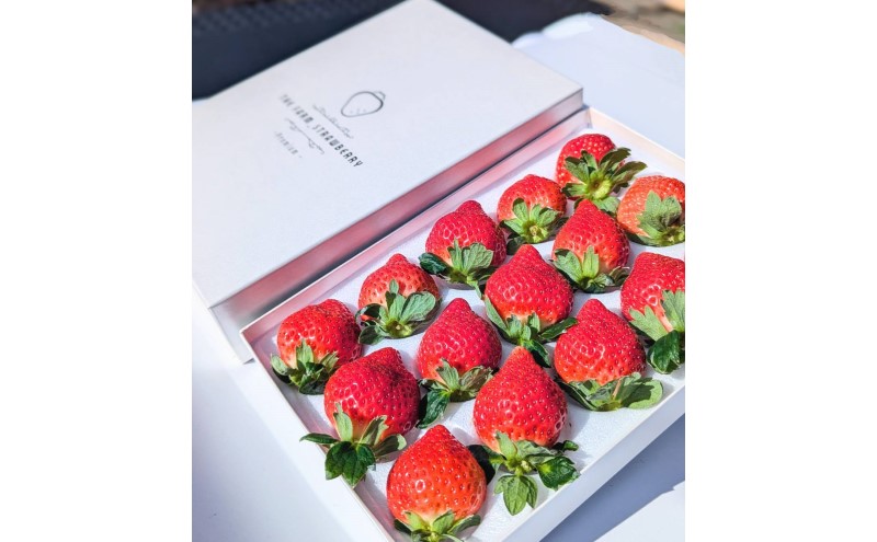 あまおう 【2026年2月上旬より順次発送】化粧箱入り プレミアムあまおう 約400g×1パック 【ギフト・お祝い・贈答用】 イチゴ 苺 いちご 果物 福岡県産 ※配送不可:離島