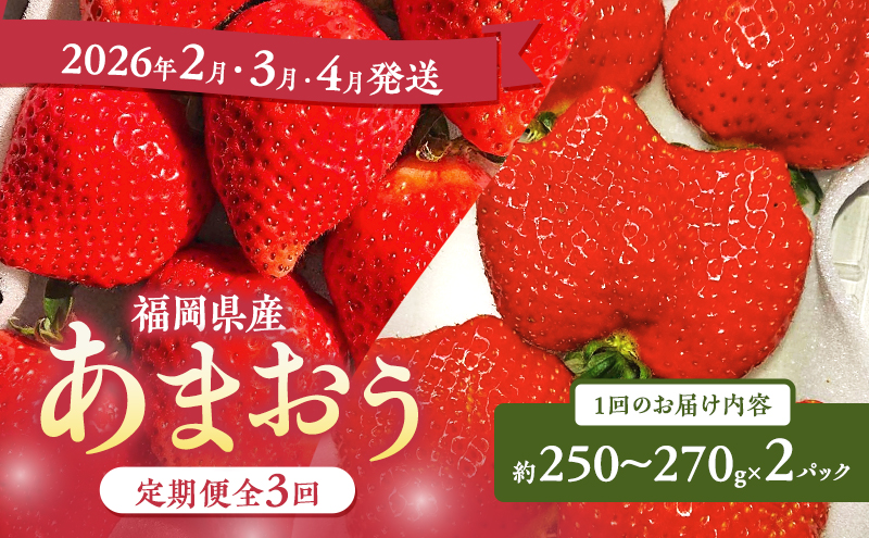 あまおう 定期便 3回 【定期便】あまおう2パック×3回（2月、3月、4月発送） イチゴ 苺 いちご 果物 福岡県産 ※配送不可:離島