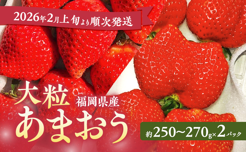 あまおう 【2026年2月上旬より順次発送】大粒あまおう 2パック イチゴ 苺 いちご 果物 福岡県産 ※配送不可:離島
