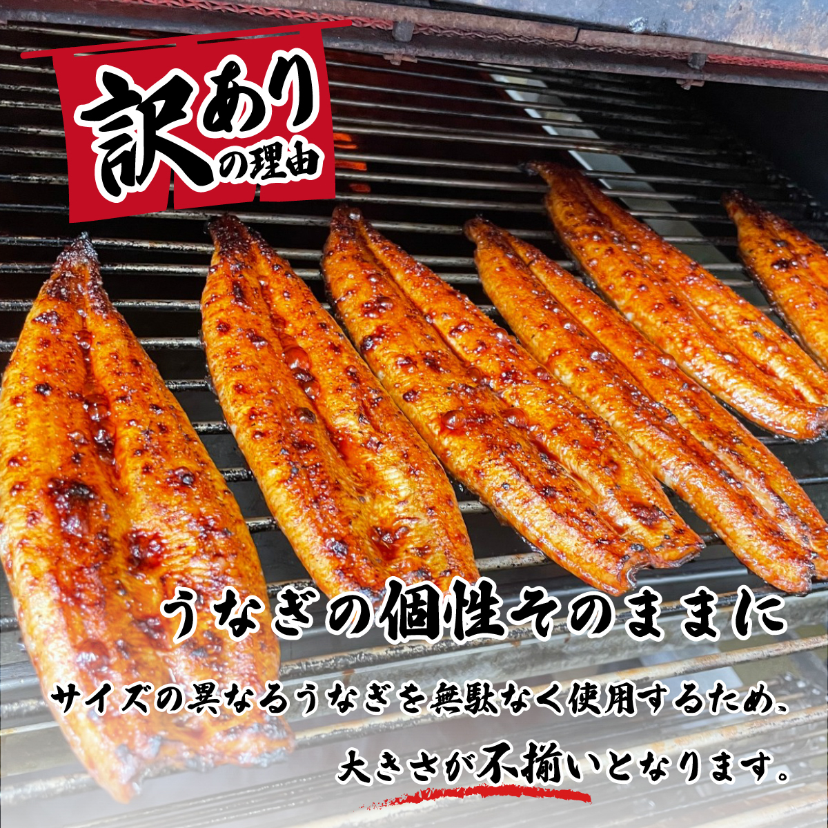 茨城県八千代町のふるさと納税 【 訳アリ 】 国産うなぎ 蒲焼き 5尾 セット ( 640g 以上) 大きさ の不揃い 山椒付き ウナギ 鰻 ふぞろい 不揃い うな重 ひつまぶし 人気 茨城 八千代町 ふるさと納税 冷凍 [SF143ya]