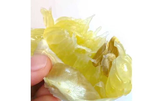 土佐文旦 文旦 訳あり 大玉入り 10kg 10キロ 3L～L ぶんたん ブンタン フルーツ 柑橘 みかん 果物 くだもの 柑橘類 デザート 家庭用 ご自宅用 お取り寄せ 国産