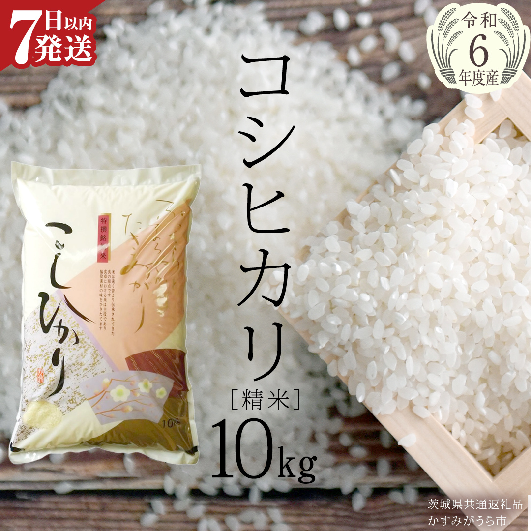 [令和6年産] コシヒカリ 精米 10kg ( 10kg × 1袋 ) (茨城県共通返礼品 かすみがうら市) 米 ごはん もっちり 甘い コメ お米 白米 銘柄米 [EX009sa]