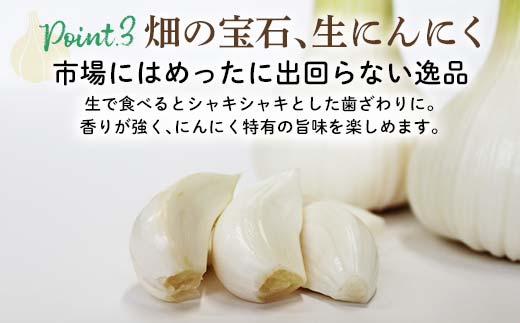 FK7-0179_【先行予約】 生にんにく 1kg
