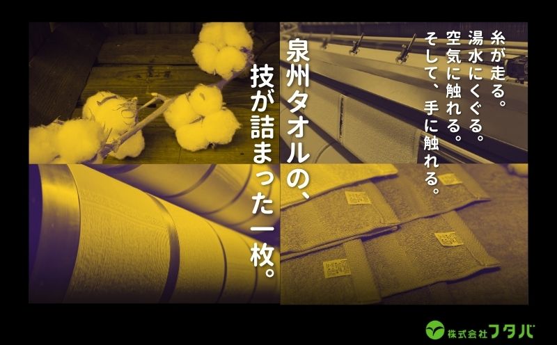 大阪府泉佐野市のふるさと納税 らくらく お洗濯 フェイスタオル6枚（ペールミスト） G3264