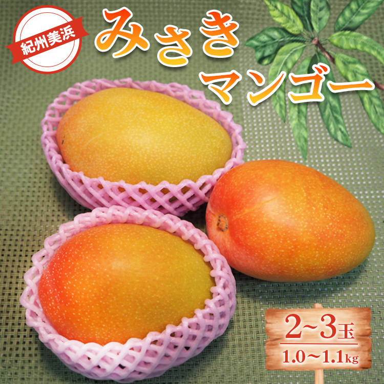 紀州美浜みさきマンゴー2～3玉（1.0～1.1kg）
※離島への配送不可
※2025年7月下旬～9月上旬頃に順次発送予定