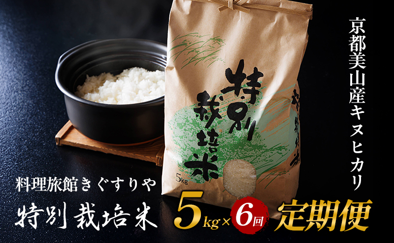 【京都府南丹市】定期便 6回 料理旅館きぐすりや 令和7年産  特別栽培米キヌヒカリ 5kg