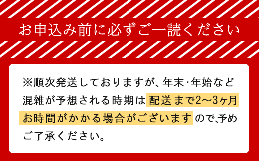 [大人気ハンバーグの定期便] 全2回/2ヶ月毎 合計20個 北海道 十勝牛 手ごねハンバーグ 200g×10個【 セット 牛100% 国産牛 牛肉 ハンバーグ パティ パテ 惣菜 小分け 冷凍 大きい 国産 北海道 十勝 幕別 ふるさと納税 送料無料 】