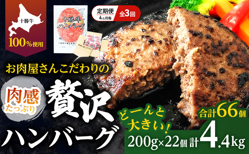 ykCʒz[lCno[O̒] S3/4 v66 kC \ 育˃no[O 200g×22y Zbg 100% Y  no[O peB pe y  Ⓚ 傫 Y kC \  ӂ邳Ɣ[  z
