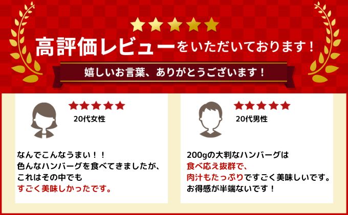 [大人気ハンバーグの定期便] 全3回/4ヶ月毎 合計66個 北海道 十勝牛 手ごねハンバーグ 200g×22個【 セット 牛100% 国産牛 牛肉 ハンバーグ パティ パテ 惣菜 小分け 冷凍 大きい 国産 北海道 十勝 幕別 ふるさと納税 送料無料 】